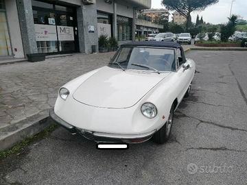 Alfa Romeo Spider 1300 junior