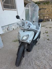 scoter