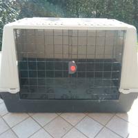 Box trasporto cani