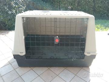 Box trasporto cani