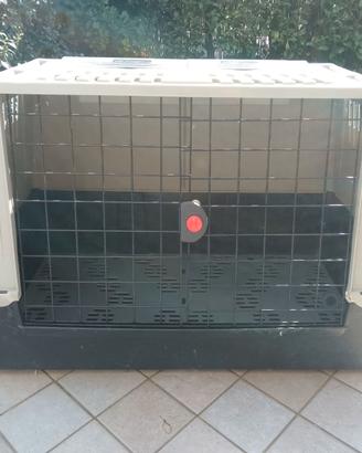 Box trasporto cani