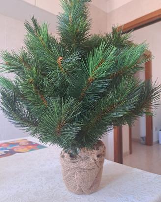 Albero di Natale piccolo