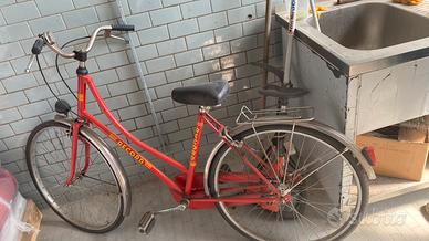 Bicicletta Uomo