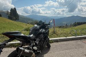Ninja zx4r