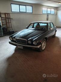 Jaguar XJ6  1982