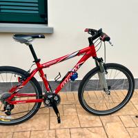 Bici Iguana Giant