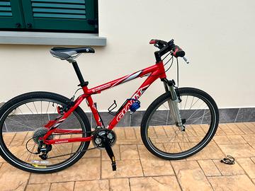 Bici Iguana Giant