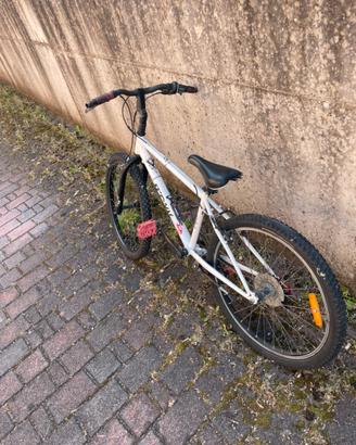 Mountain bike ragazzi