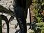 Immagine 5