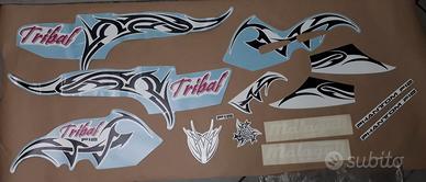 serie adesivi Malaguti F12 Tribal 2003-2006 origin