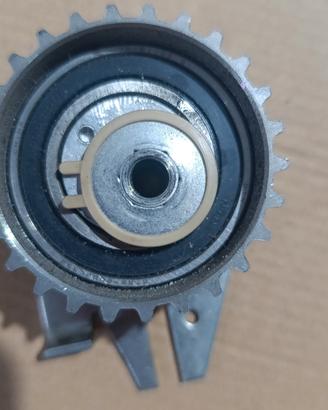 tendicinghia distribuzione motore 
