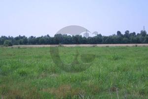 Terreno di 125500 m² a San Gervasio Bresciano
