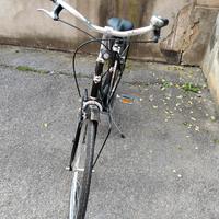 Bici da Donna Holland