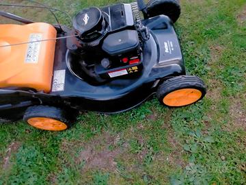 tagliaerba Rasaerba semovente 