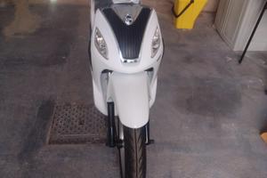 Motorino Symphony 50S