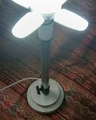 lampada 