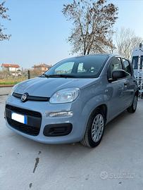 FIAT PANDA HYBRID ANNO 2021