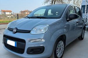 FIAT PANDA HYBRID ANNO 2021
