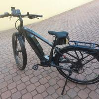 ebike trekking  marca flyer