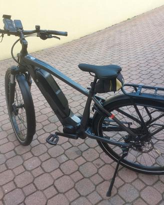 ebike trekking  marca flyer