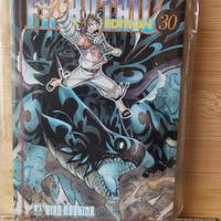 Fairy tail new edition n. 30