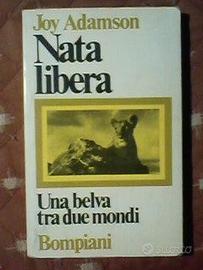 9 libri vintage: Narrativa, poesia, natura...