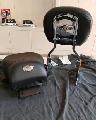 100 anniversario sissy bar scienale sellino harley