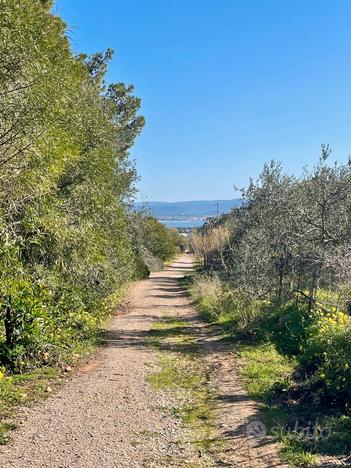 Terreno Agricolo in Zona Le Bombarde - Lazzaretto