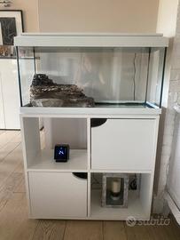 Acquario