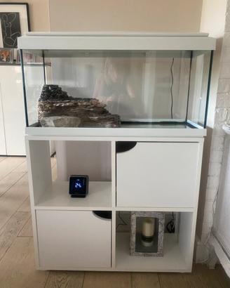 Acquario