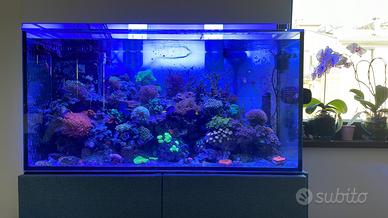 Acquario acqua salata 350 lt - 3.500 €