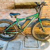 Fat bike ebike taglia M