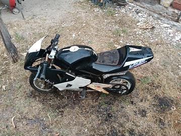 pitbike