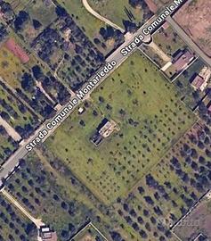 Terreno 1 ha ca