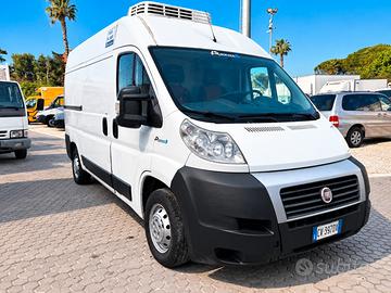 Fiat Ducato Frigo L2H2 2.3 MJ 120CV -20° ATP 2029 