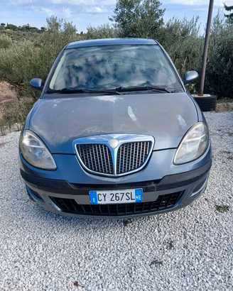 Lancia Ypsilon 1.3 Multijet 16V Argento