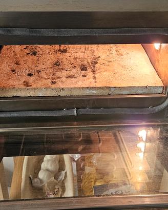 forno effeuno  P134H 