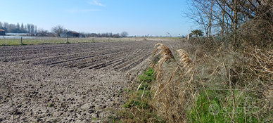 Terreno Agricolo 10.000 mq