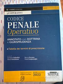 Codice penale operativo 2022