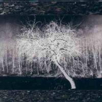 Ikon - the shallow sea cd