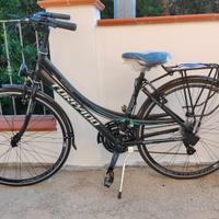 Bici da strada Torpado Rondine T391