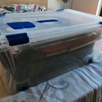 Scatola contenitore in plastica