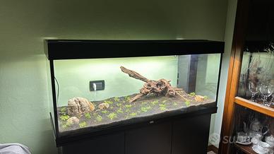 Acquario juwel rio 240