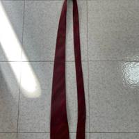 Salvatore ferragamo cravatta