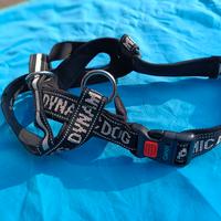 guinzaglio per cani taglia grande 