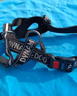 guinzaglio per cani taglia grande 