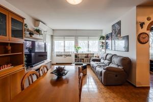 Ampio 4 locali con terrazzo e garage