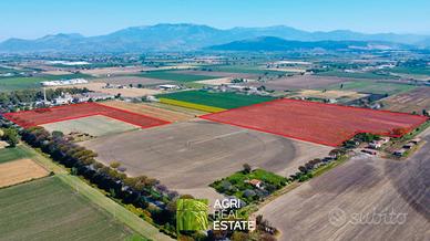 Terreno agricolo 18 ettari fronte strada