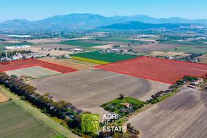 Terreno agricolo 18 ettari fronte strada