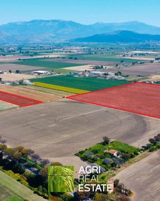 Terreno agricolo 18 ettari fronte strada